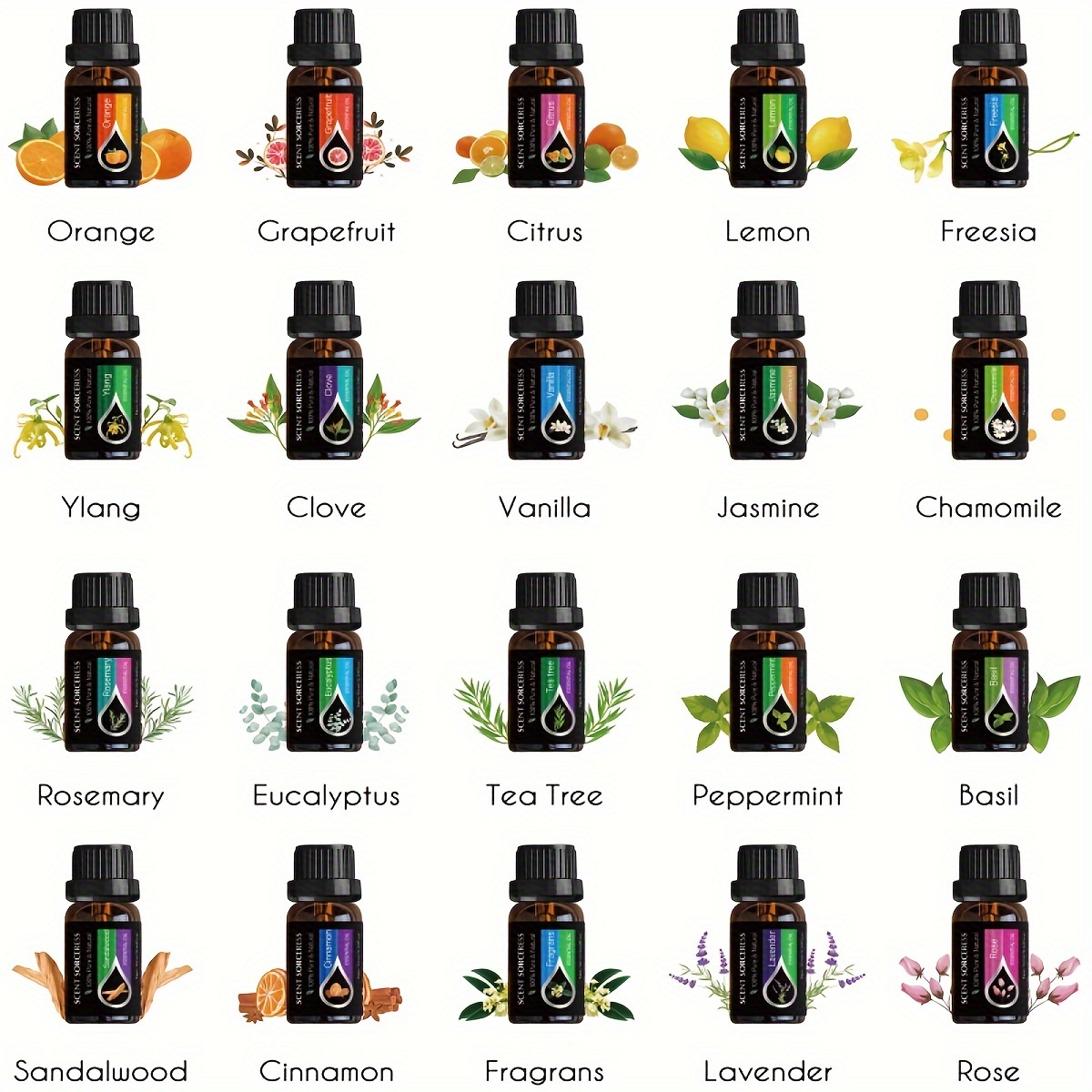 ชุดน้ำมันหอมระเหย 20 ชิ้น/ชุด  - Spa Wellness Locations บทวิจารณ์และราคา