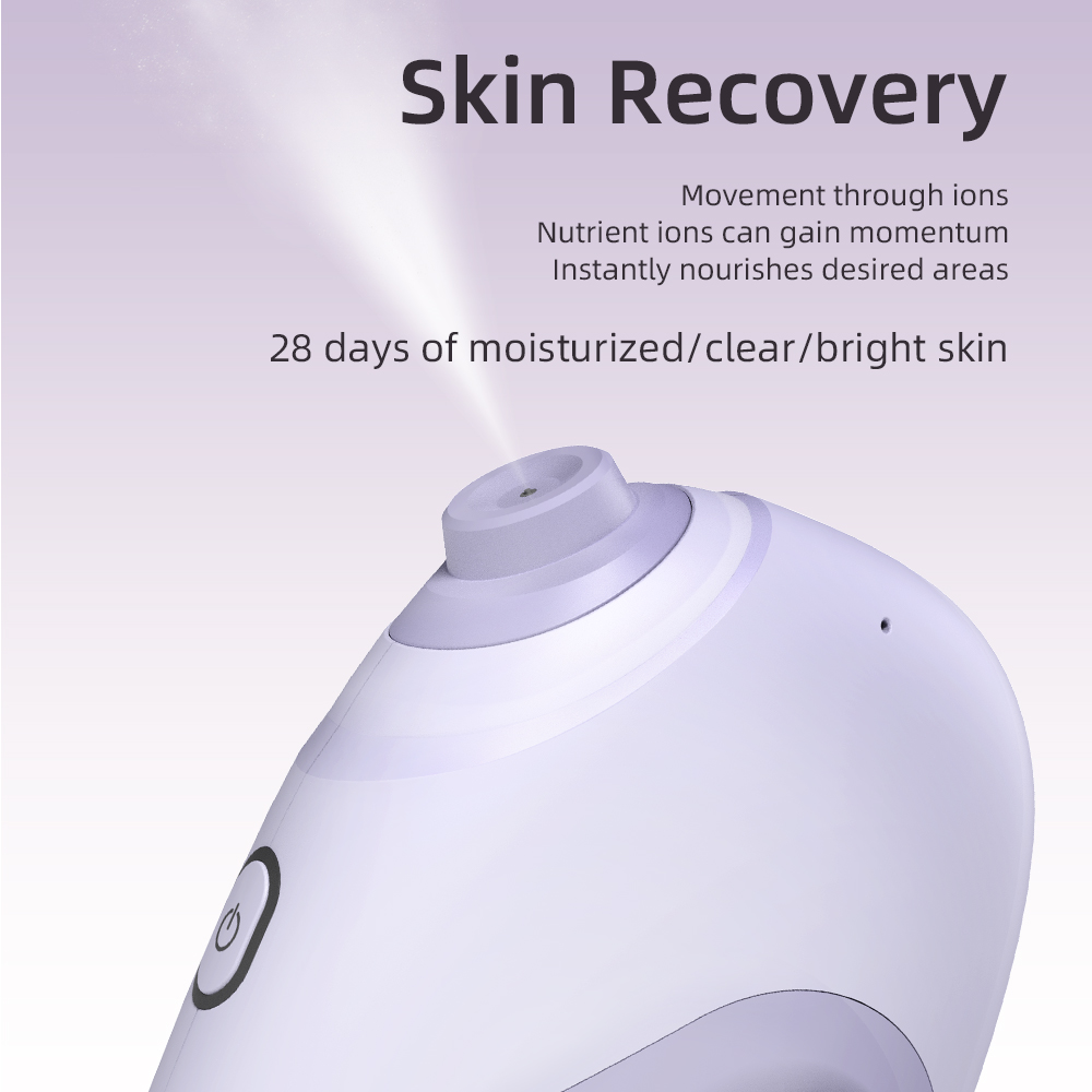 Nano Facial Sprayer Water Stea - Facial Steamer Nano บทวิจารณ์และราคา